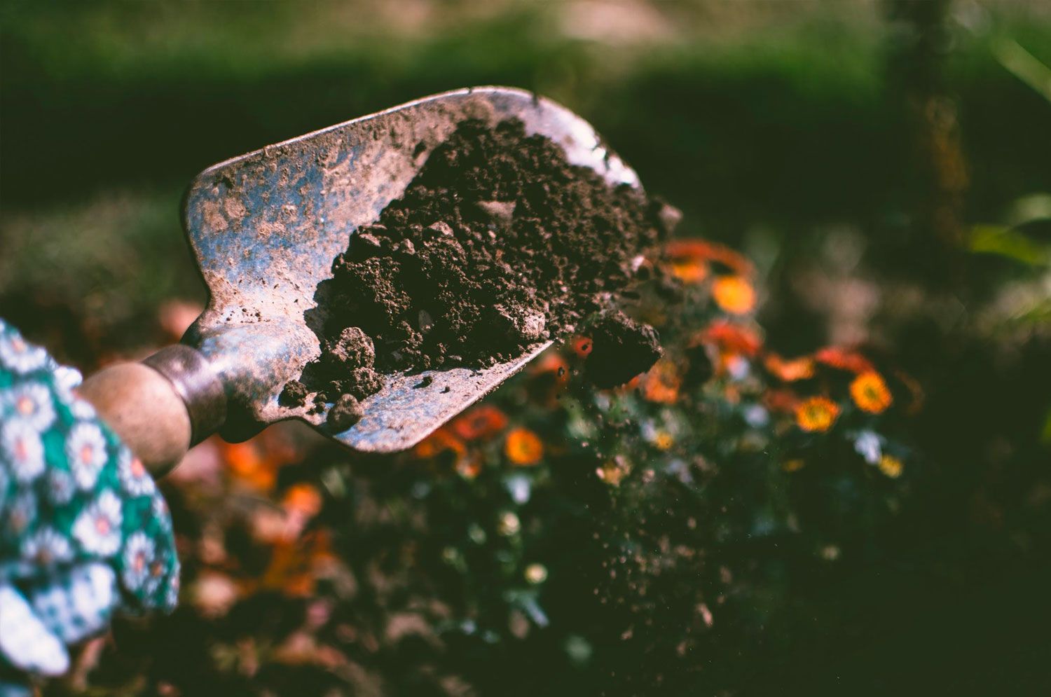 Garden Trowel Garden Trowel